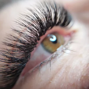 Wiz-Waxing, Threading, Sugaring, Facial, Brazilian, Lashes, Henna